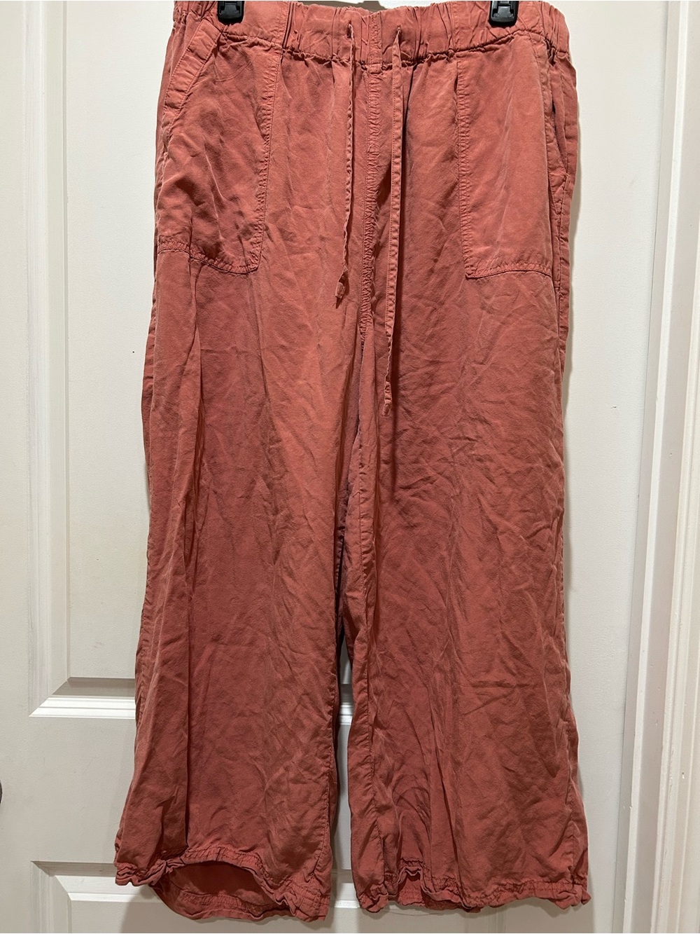Thread & Supply Wide-Leg Drawstring Pants in Rust